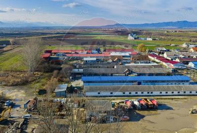 De inchiriat spa?iu pentru depozitare 300mp + curte 650mp Feldioara - 6