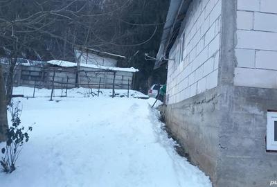 Refugiu in inima naturii Casa de vanzare in Bratca, langa Valea Bratcu?ei, jud. Bihor - 2