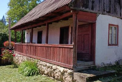 Casă în Aluniș - 3