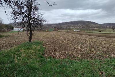 RECO Teren intravilan, Urvind - 2