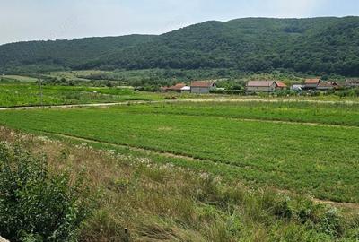 Casă cu 6 camere în Leșnic - 9