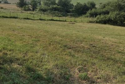 Teren extravilan 2000 mp,spre vanzare- Rusciori-5km  -Autostrada - 3