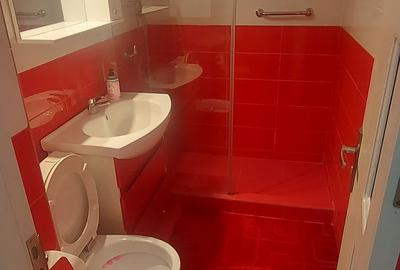 Apartament cu 2 camere semidecomandat în Dristor - 2
