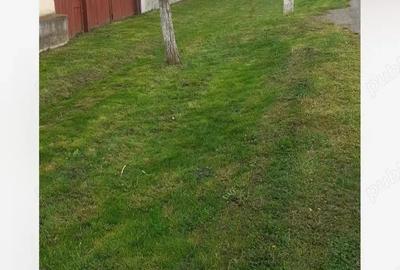 Casa de vanzare Bata - 4