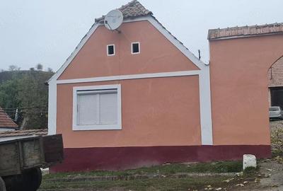 Casă cu Teren 6000 Mp în Țeline - 2