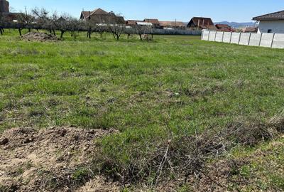 Spațiu comercial, în Budești - 1