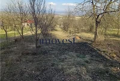 Spațiu comercial, în Orașu Nou - 4