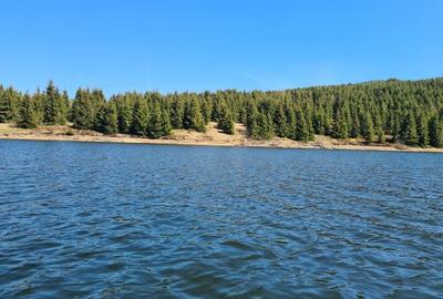 Spațiu comercial, în Beliș - 6