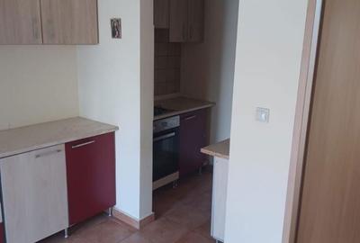 Apartament cu 3 camere semidecomandat în Horea - 11