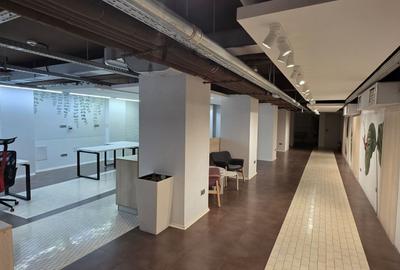 Piata 1 Mai spatiu demisol 475 mp - 27