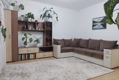 Apartament cu 2 camere decomandat în Andrei Mureșanu - 12