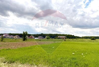 Casă individuală cu 3 camere cu Teren 550 Mp în Cosoba - 44