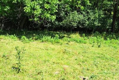 Spațiu comercial, în Bercești - 10