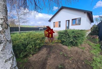 Casa plan parter deosebita, Lunca Cetatuii Ciurea, la asfalt, zona vis - 12