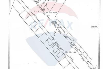 Teren pentru dezvoltare imobiliara in Darza Crevedia - 4