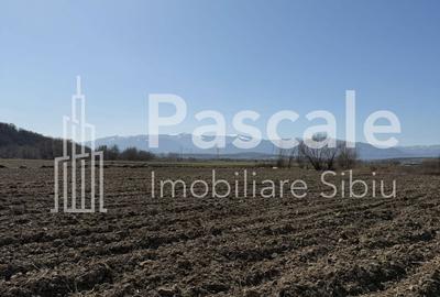 Spațiu comercial, în Bungard - 4