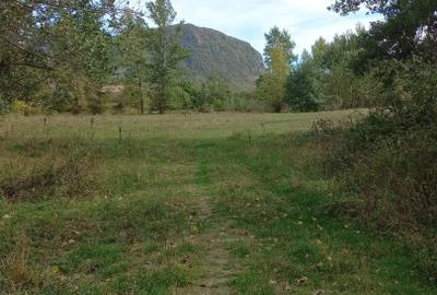 Vând teren 4 euro mp MEHADIA la 8km de BĂILE HERCULANE - 5