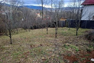 Teren de 873 mp, în Central