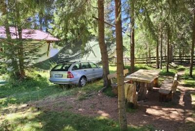 Casă cu 3 camere cu Teren 838 Mp în Central - 8