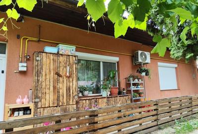 Casă cu 2 camere nedecomandat în Iosefin - 7