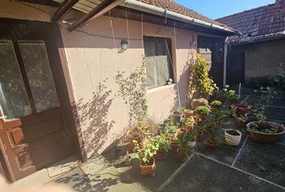 Proprietar, vand casa in Faget - 8