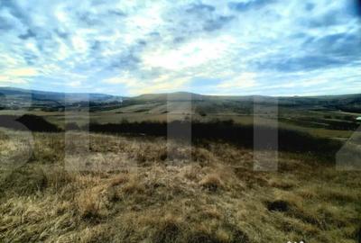 Teren de 2900 mp, în Sopor - 4