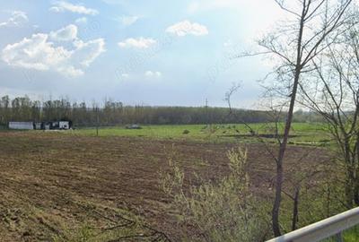 Teren de 7500 mp, în Cernele - 4