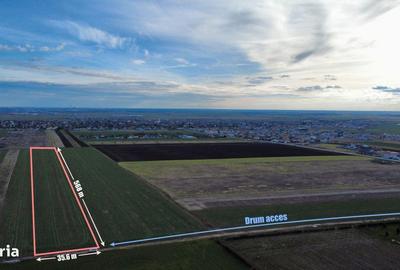 Teren de 10000 mp, în Sânandrei