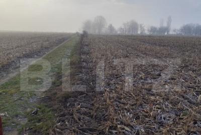 Teren de 7200 mp, în Miroslava