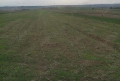Teren de 17000 mp, în Oprișor - 1