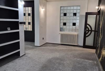 De vânzare Vilă individuala 11 camere curte proprie Parcul Carol - 13