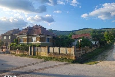 Casă cu 3 camere cu Teren 1760 Mp în Lopadea Nouă - 3