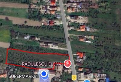 Teren Construcții intravilan de 7000 mp, în Berevoești