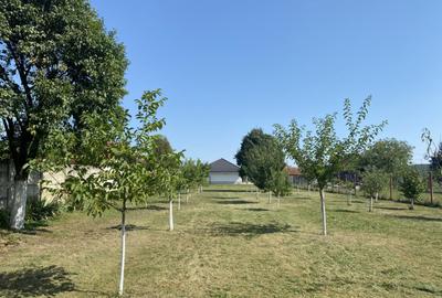 Casa noua Sacel 142 mp, teren 2000 mp, priveliste munti si a - 8