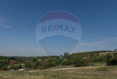 Teren de Vanzare, Intravilan, 5511 mp, in Zona de Dealuri cu Panorama - 5