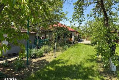 Casă cu 3 camere cu Teren 4000 Mp în Letca Nouă - 3