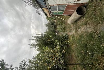 Casa de vanzare cartier Magurele Turnu Magurele - 3