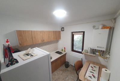 Apartament 1 camera Lunca Cetatuii, Astoria - 5