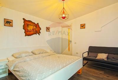 Casă cu 9 camere cu Teren 888 Mp în Sohodol - 42