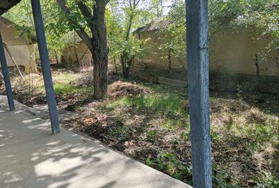 Casă cu 3 camere cu Teren 1400 Mp în Mihai Viteazu - 5