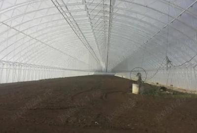 Teren de 5000 mp, în Matca - 2