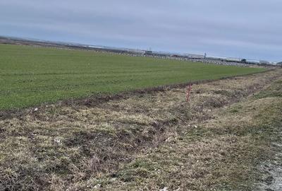 Teren de 9500 mp, în Remetea Mare - 2