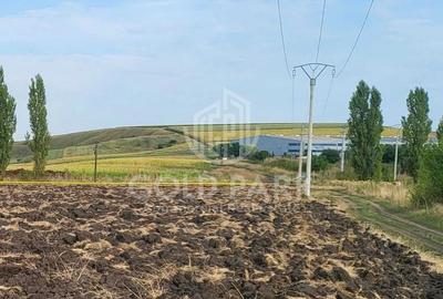 Teren Intravilan- Tureni- Zona Industriala - 7