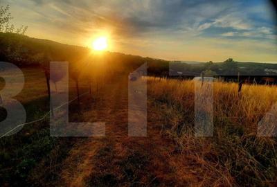 Teren intravilan 1129 mp, PUZ in lucru, in Borhanci - 3