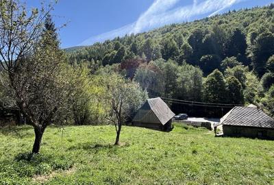 Teren Construcții intravilan de 2000 mp, în Răchițele - 2