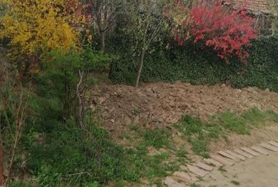 Casă cu 3 camere cu Teren 900 Mp în Sânmihaiu Almașului - 6