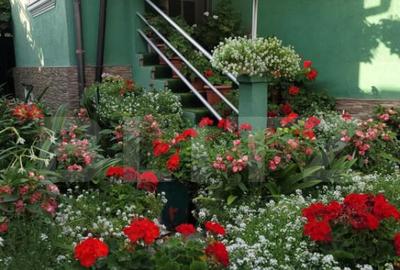 Casa de vanzare | Zona Independen?ei | 123 mp utili | Bec - 1