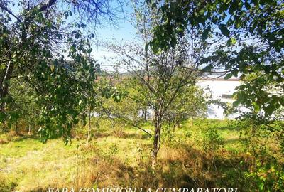 Teren de 1174 mp, în Vlădești - 10