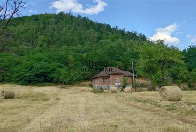 Teren, padure si casa in Dumbrava de Jos, jud. Hunedoara - 2
