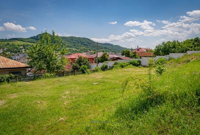 Teren Construcții intravilan de 1356 mp, în Central - 2